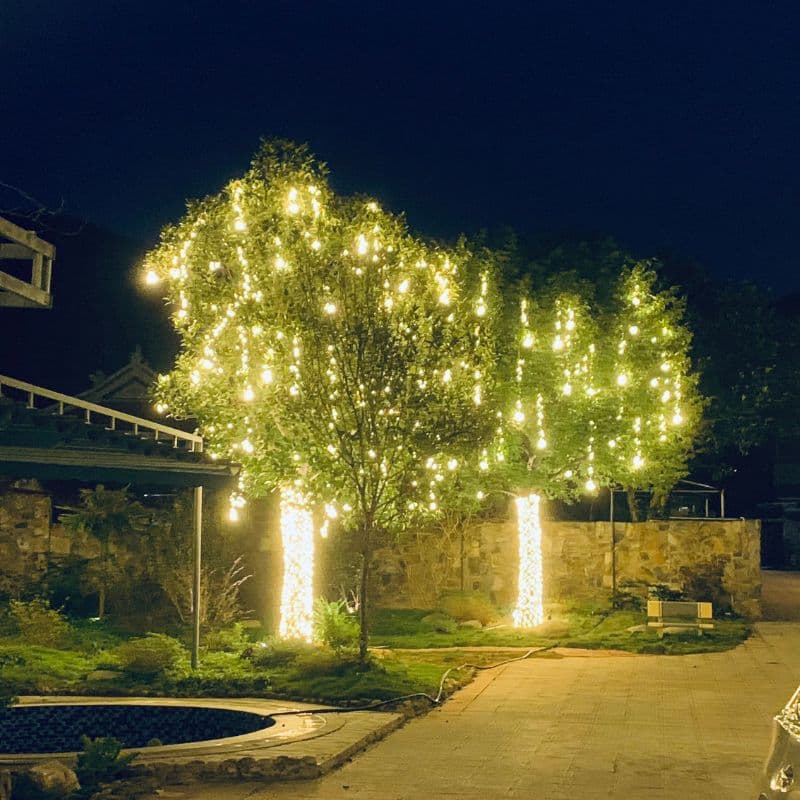 lắp đèn trang trí cây