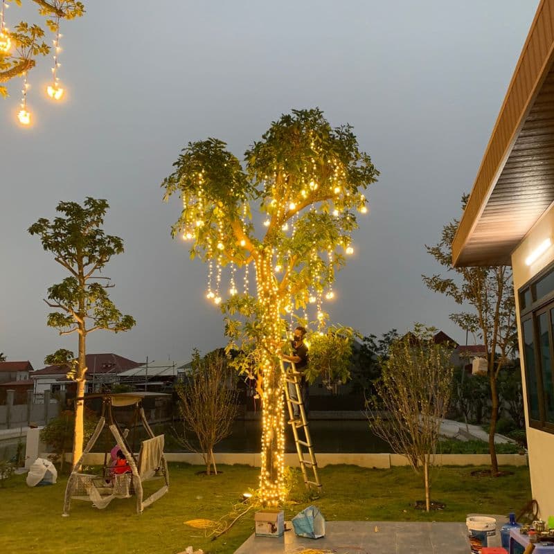 Dịch Vụ Lắp Đèn Trang Trí Cây Xanh Ngoài Trời Bằng Đèn led đúc F5 12V